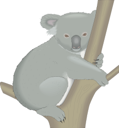 ANIMALS,WILD,KOALA clipart