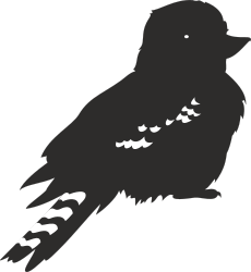 Black Bird Silhouette on Dark Background Clipart