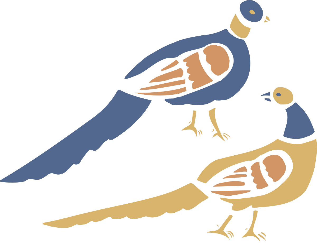 two birds are standing on a black background clip art png transparent Birds on Black Background Clipart: Elegant Avian Duo