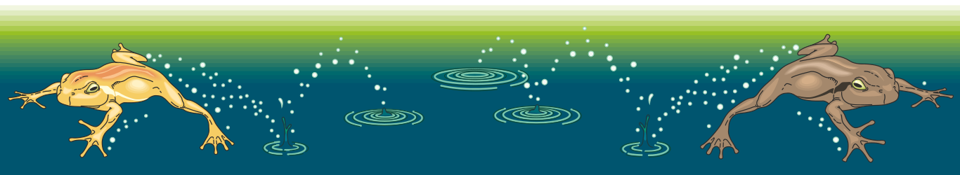 Leaping Frogs Clipart - Vibrant Animal Borders for Creative Designs
