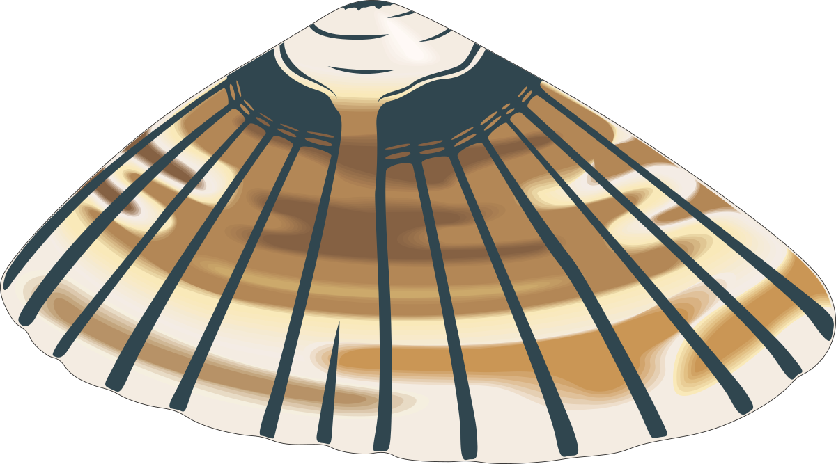 a gold shell with black stripes clip art png transparent Gold Shell with Black Stripes Clipart - Stunning Nautical Graphics
