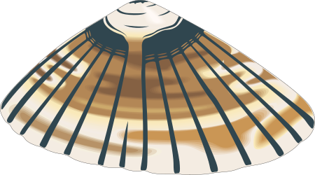 Gold Shell with Black Stripes Clipart - Stunning Nautical Graphics