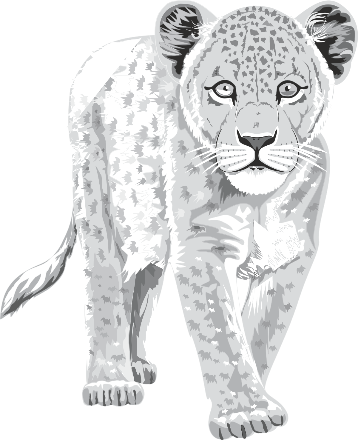 White Leopard with Black Spots - Stunning Animal Clipart