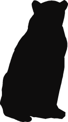 Black Cat Silhouette Against Dark Background - Striking Clipart