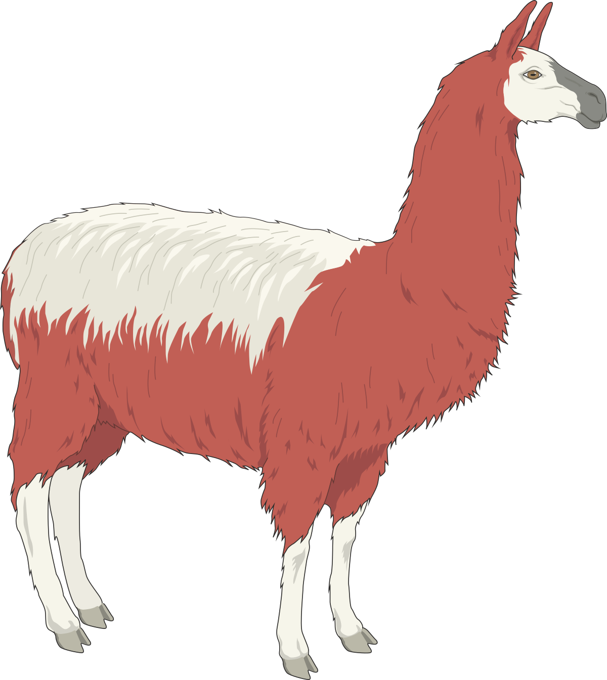 a llama llama llama llama llama llama llama llama llama llama llama llama llama llama llama llama llama llama llama llama llama llama llama llama llama llama llama llama llama ll clip art png transparent Lively Llama Clipart: Fun and Playful Llama Illustrations