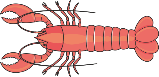 Lobster Clipart: Vibrant Red Lobster Illustration for Culinary Designs