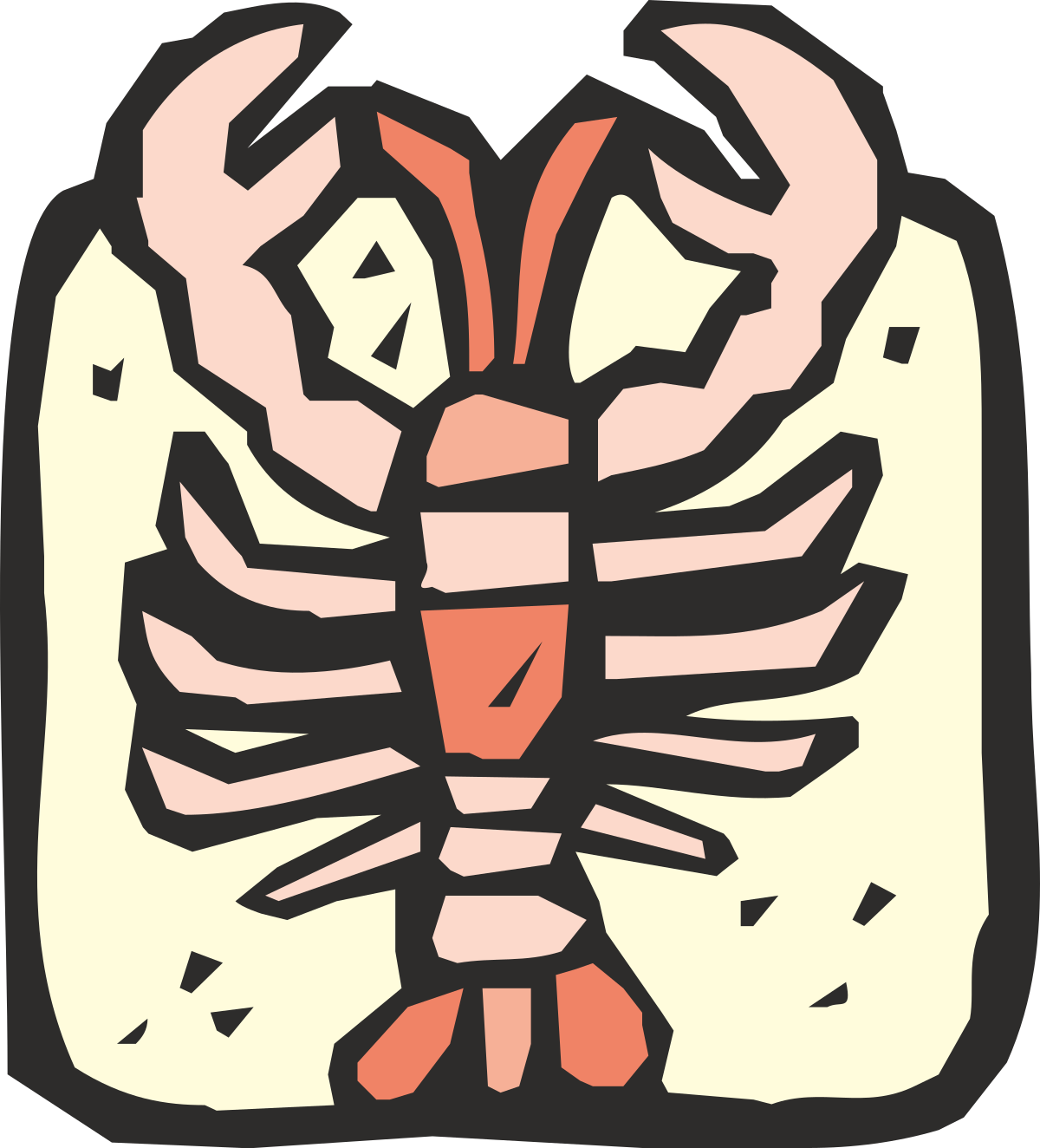 Human Rib Bones Clipart - Realistic Anatomical Illustrations for Educational Use