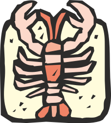 Human Rib Bones Clipart - Realistic Anatomical Illustrations for Educational Use