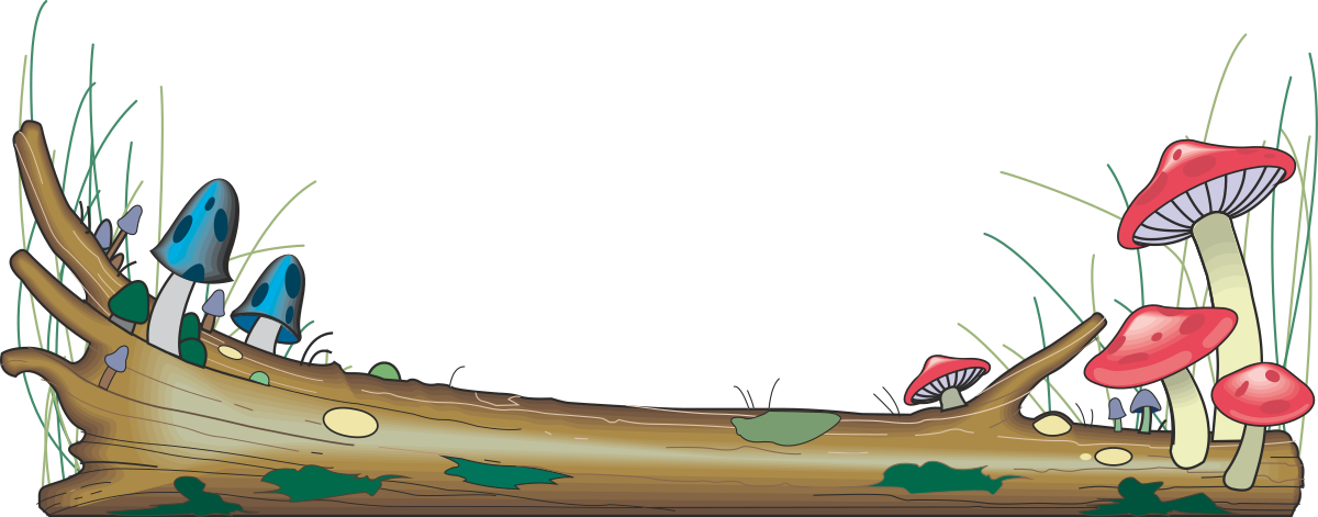 Borders of Plants and Mushrooms on a Log Clipart