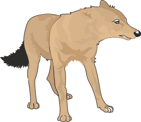 Dog Clipart on Black Background - Stylish and Versatile Design