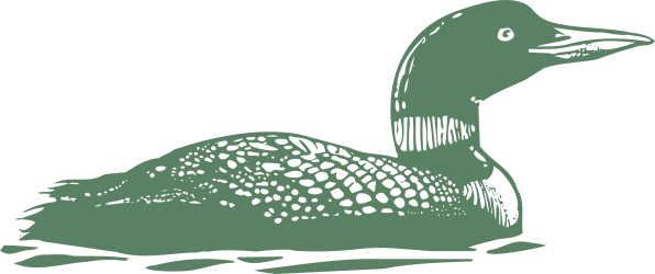 Duck Clipart on Black Background - Vibrant and Eye-Catching