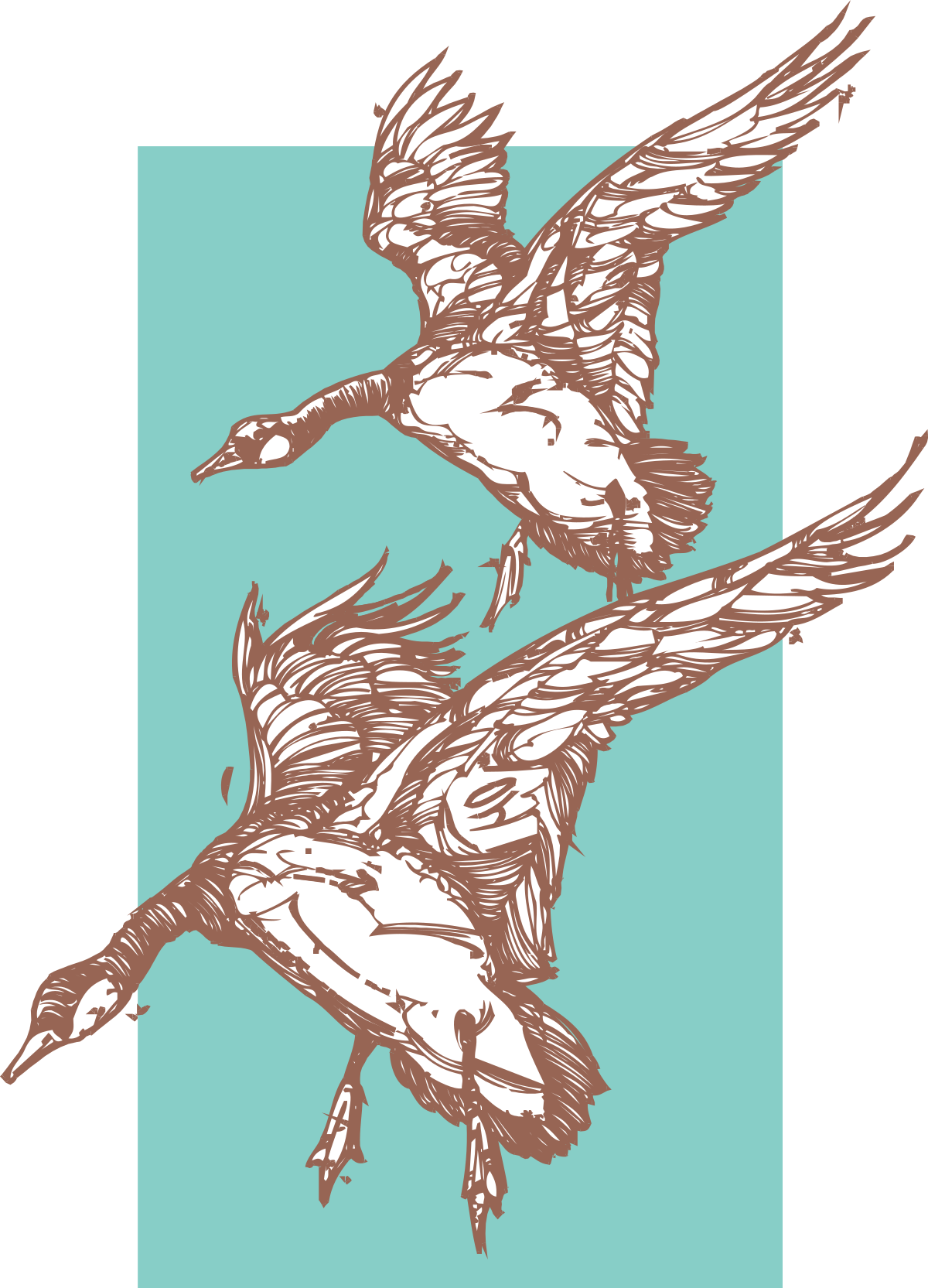 Flying Birds Clipart: Two Graceful Birds in the Air
