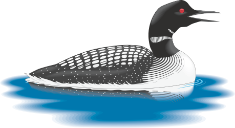 Lonely Duck Swimming in Water Clipart