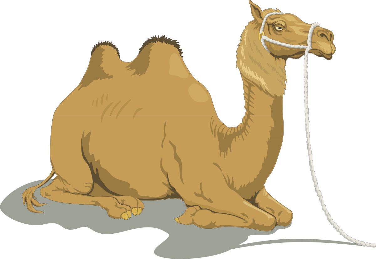 a camel with a rope around its neck clip art png transparent Camel with Rope: Unique Clipart Asset for Your Projects