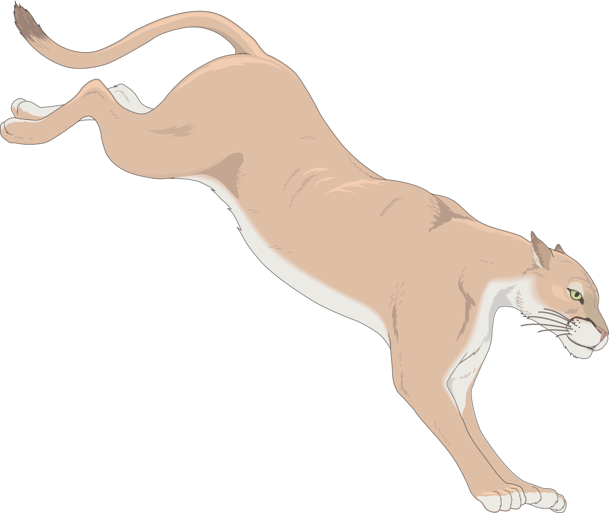 Jumping Cat Clipart: Dynamic Feline in Action