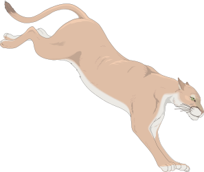 Jumping Cat Clipart: Dynamic Feline in Action