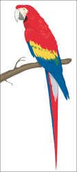 Parrot Perched on a Branch - Vibrant Clipart for Your Projects