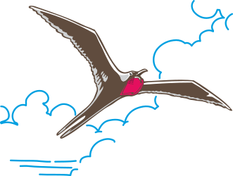 Bird in Flight with Red Heart - Perfect Clipart for Love and Freedom Themes