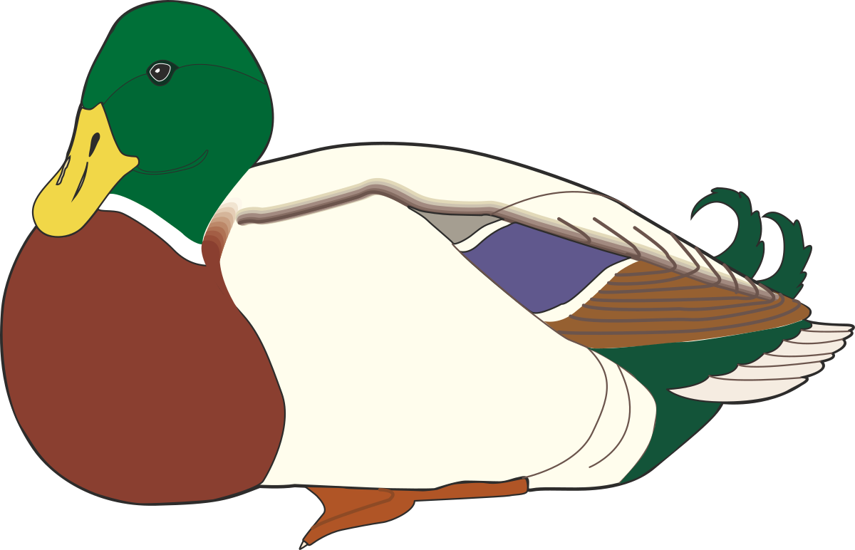 Duck Clipart with Green Head and Brown Beak for Creative Projects