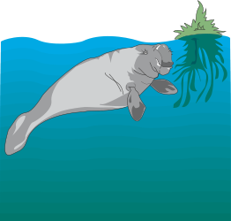 Seal Swimming in Ocean with Plant Clipart