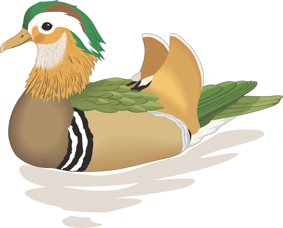 Green Feathered Duck with White Head Clipart - Vibrant SVG Illustration