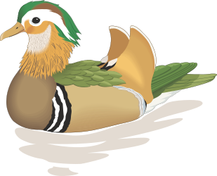 Green Feathered Duck with White Head Clipart - Vibrant SVG Illustration