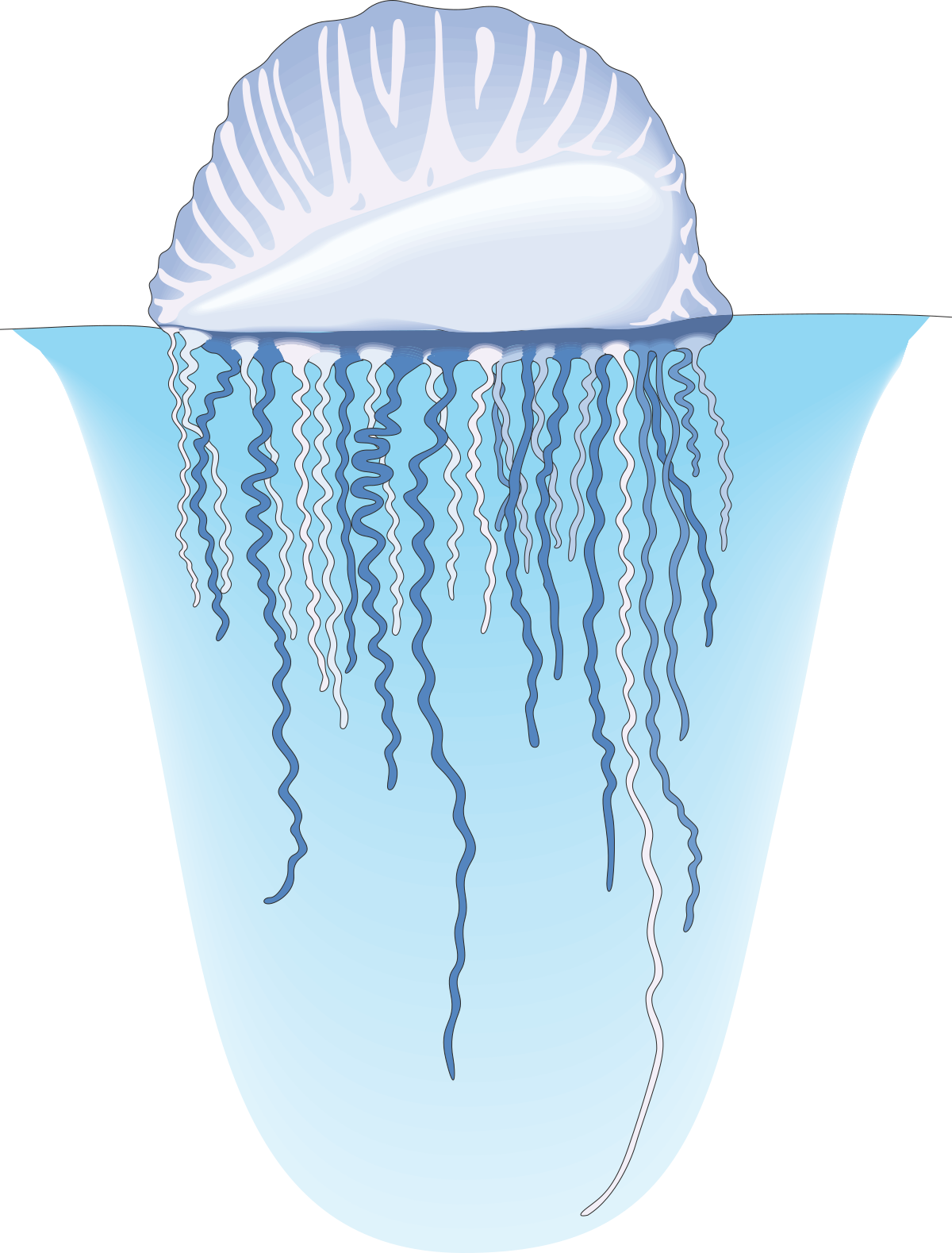 Jellyfish in a Bowl Clipart - Vibrant Aquatic Scene