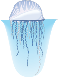 Jellyfish in a Bowl Clipart - Vibrant Aquatic Scene