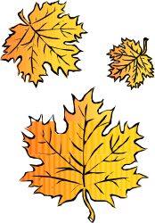 Vibrant Leaves Trio on Black Background - Stunning Clipart