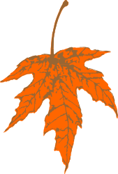 Orange Leaf Clipart for Vibrant Designs