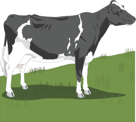 Cow Standing in Grass - Lively Rural Scene Clipart