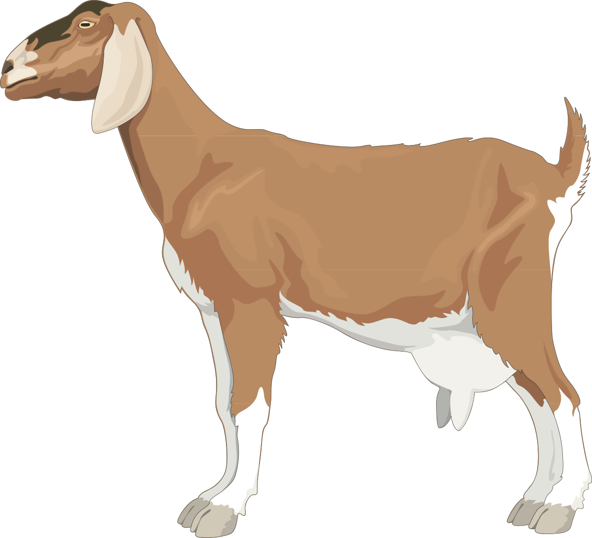 a brown goat standing on a black background clip art png transparent Brown Goat Standing on Black Background Clipart