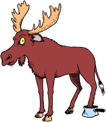 Moose with a Big Nose Clipart: Playful Wildlife Illustration