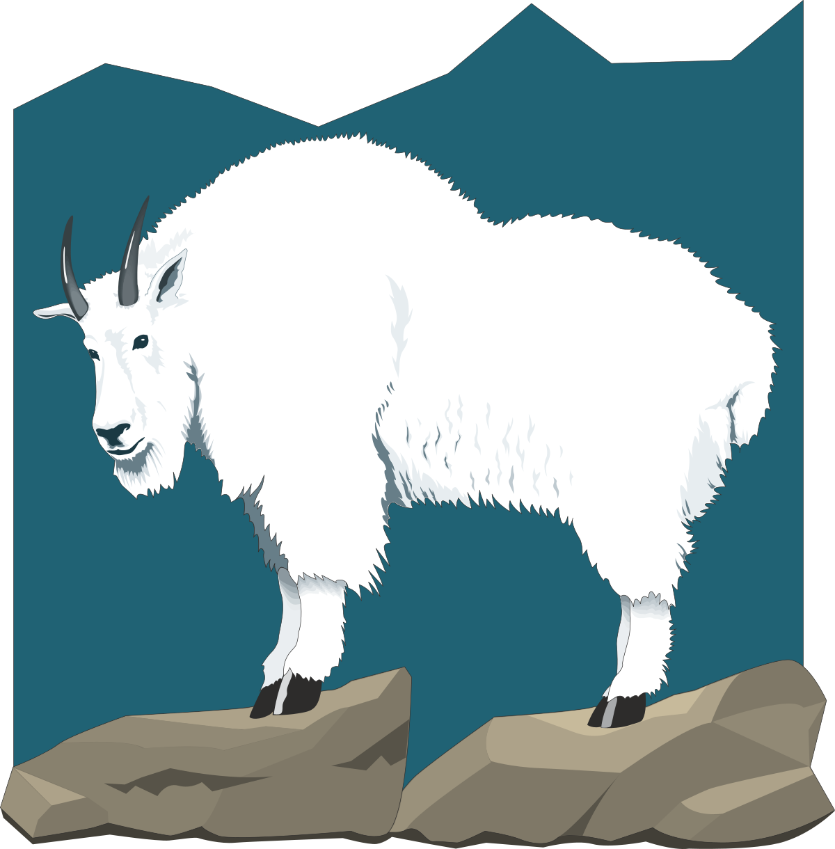 a white goat standing on a rock clip art png transparent White Goat Standing on Rock - Nature Clipart