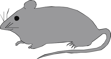 Mouse Silhouette on Black Background - Elegant Clipart for Versatile Use