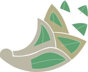 Leaf Clipart: Vibrant Green and Brown Leaf Against Black Background