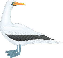 White Bird with Black Wings Clipart - Elegant Avian Designs