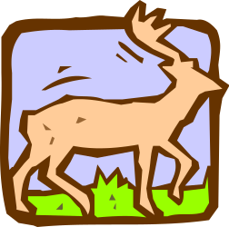 Moose in Grass Clipart - Nature Illustration