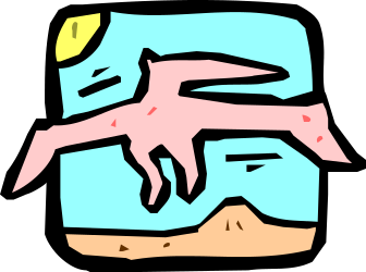 Face Clipart: Detailed Drawing of a Person's Expression