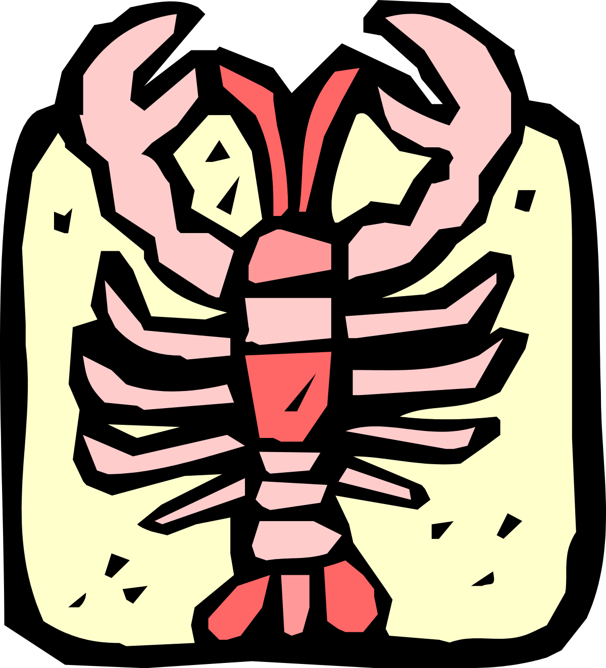 Human Skeleton Clipart - Anatomically Detailed Illustration