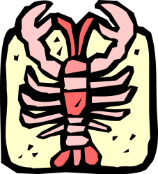Human Skeleton Clipart - Anatomically Detailed Illustration