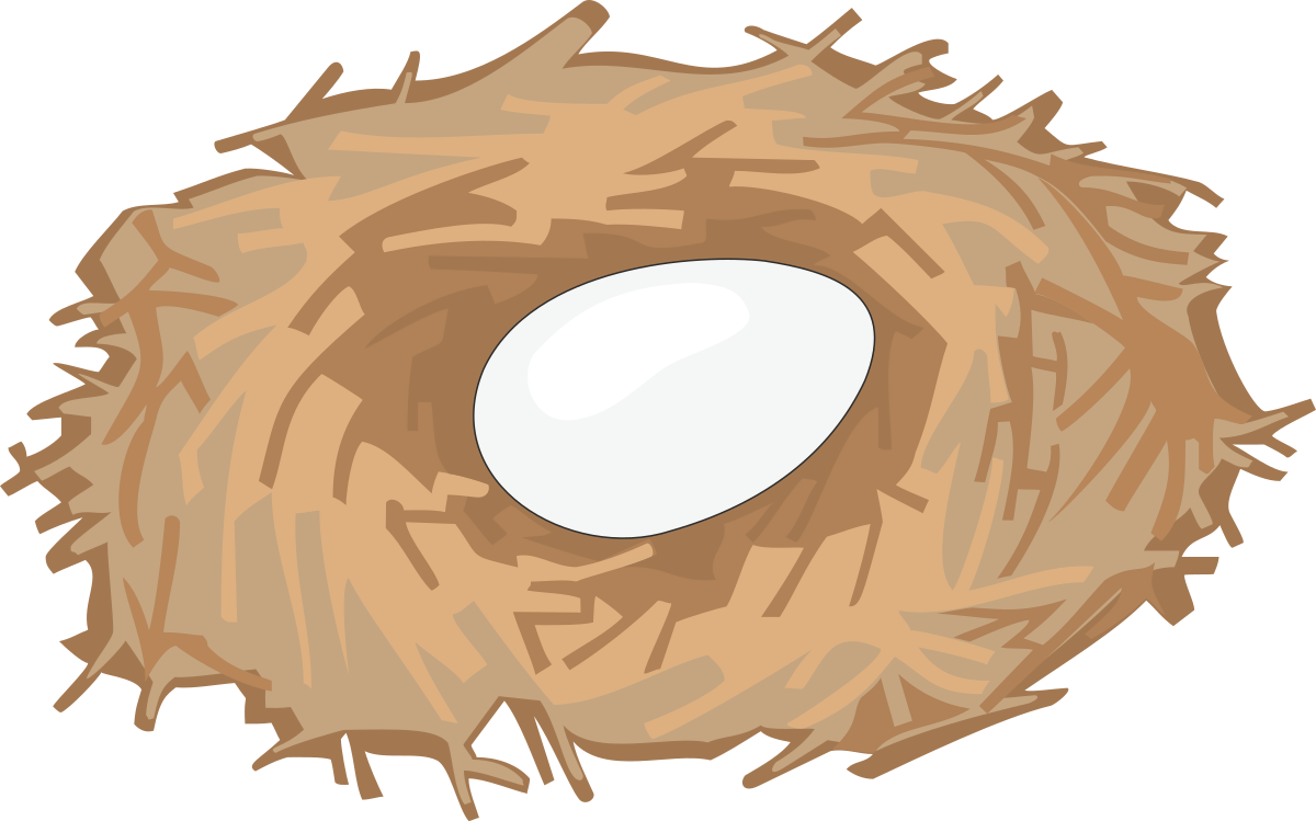 Bird Nest with White Egg - Nature Clipart for Your Projects