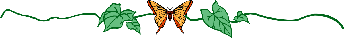 Vibrant Green and Orange Waves with Black Background Clipart