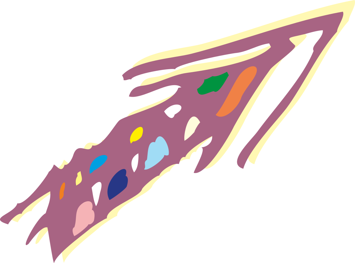 Colorful Art on Black Background - Vibrant Clipart for Creative Projects