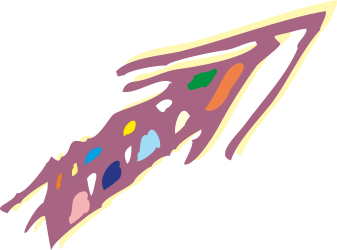 Colorful Art on Black Background - Vibrant Clipart for Creative Projects