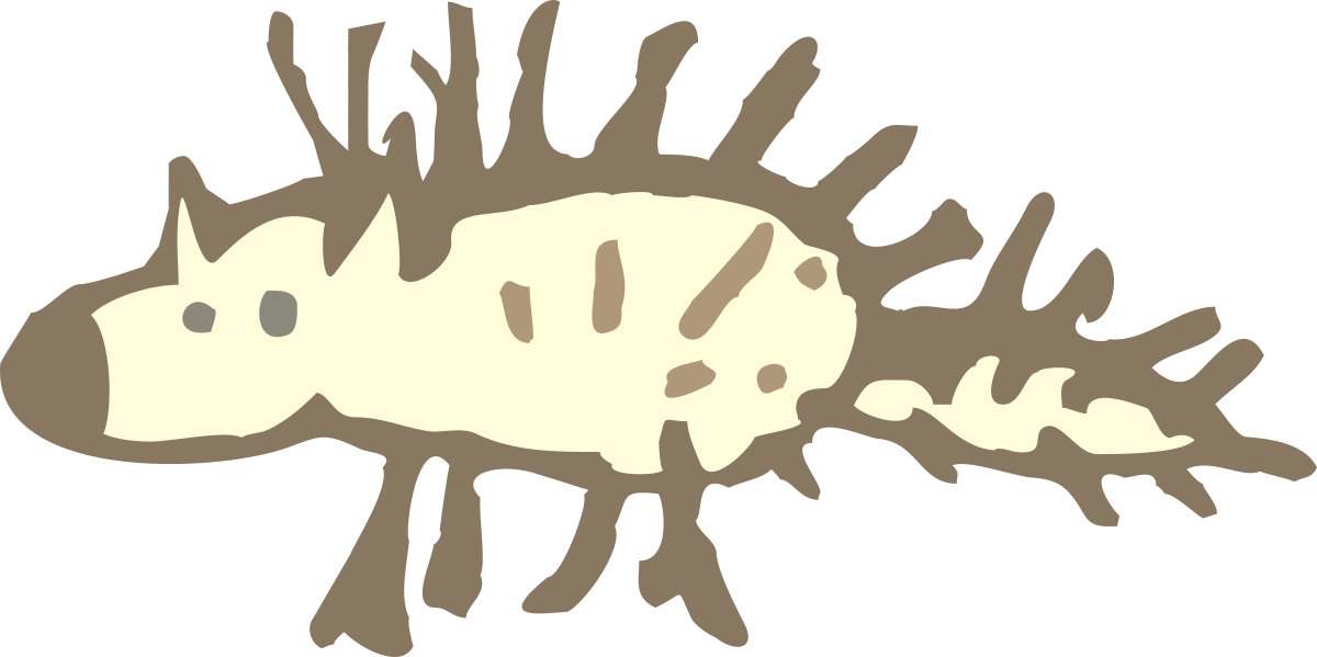 Long Tail Fish Clipart - Vibrant Aquatic Illustration