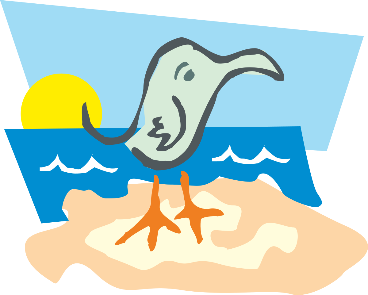 Beach Bird Clipart: Elegant Seabird Standing Under a Sunlit Sky