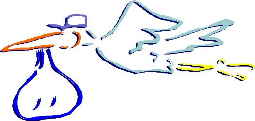 Bird Flying Over Person - Dynamic Nature Clipart