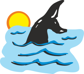 Killer Whale Jumping Out of Water - Dynamic Ocean Clipart