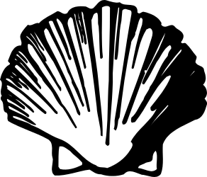Unique Black and White Shell Clipart for Creative Projects